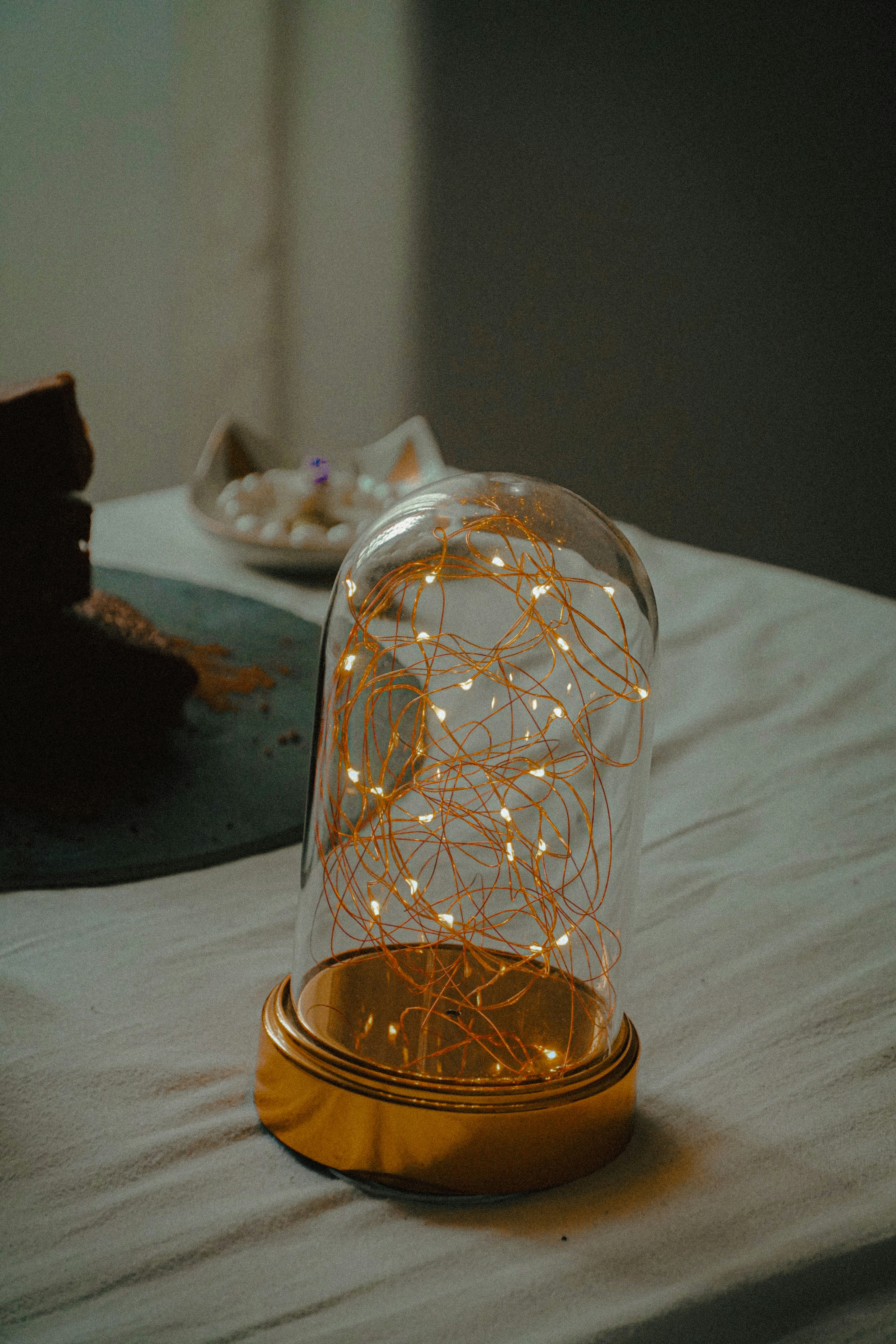 Preserved Flower Dome