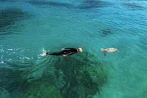 Tourists snorkeling in crystal-clear waters with bright sunlight filtering through