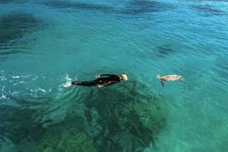In crystal-clear turquoise water, a person wearing snorkeling gear swims alongside a sea turtle. The water reflects sunlight, creating a serene and harmonious ambiance.