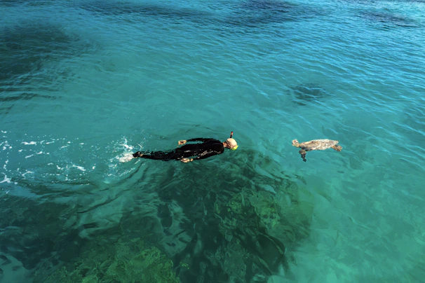 A swimmer exploring crystal-clear Himalayan lake waters with snorkeling gear.