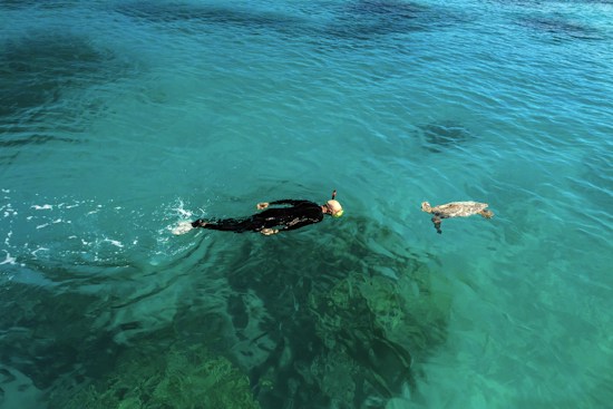 In crystal-clear turquoise water, a person wearing snorkeling gear swims alongside a sea turtle. The water reflects sunlight, creating a serene and harmonious ambiance.