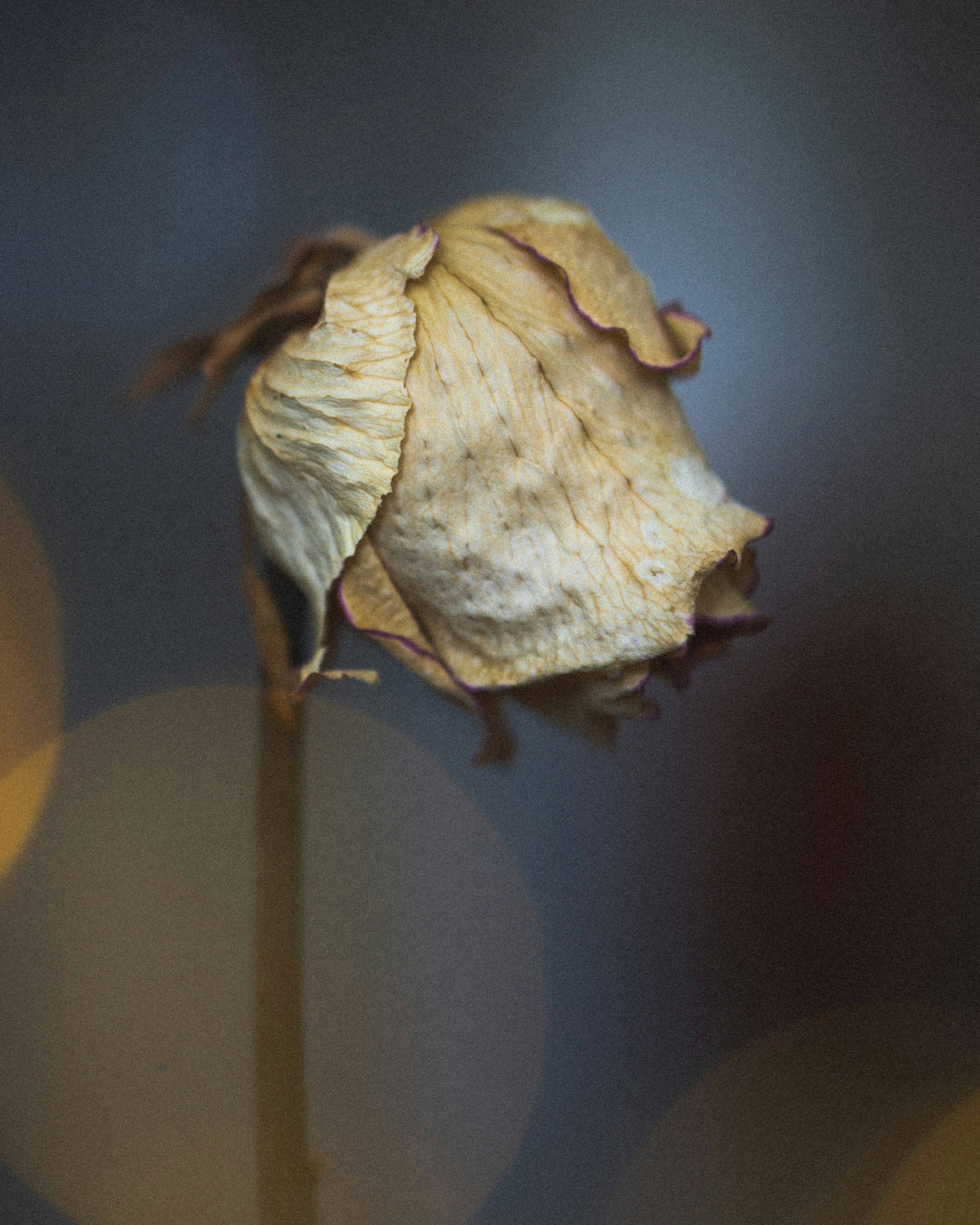 Photo by felixhoffmann