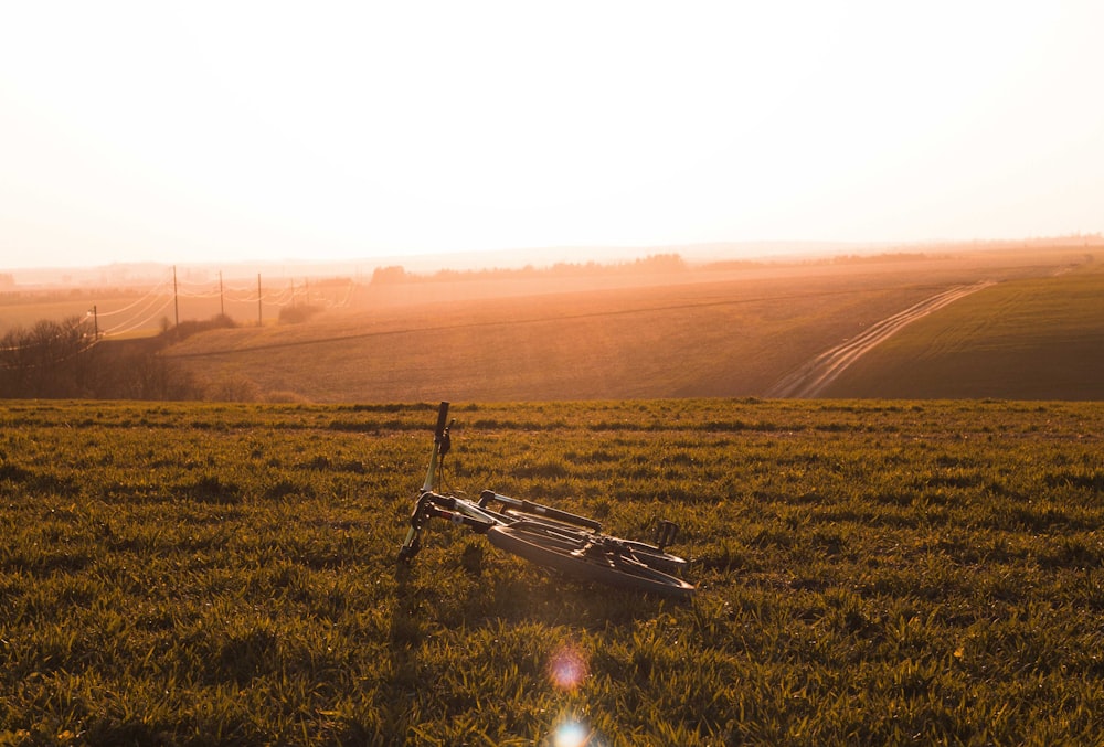 brown wooden bench on green grass field during sunset