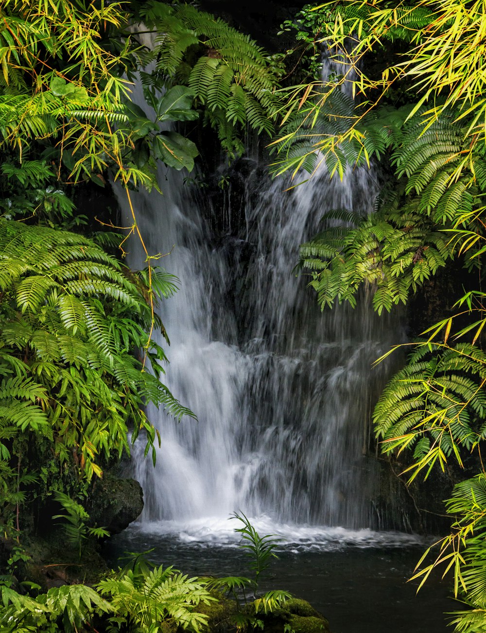 water falls in the middle of green moss covered rocks