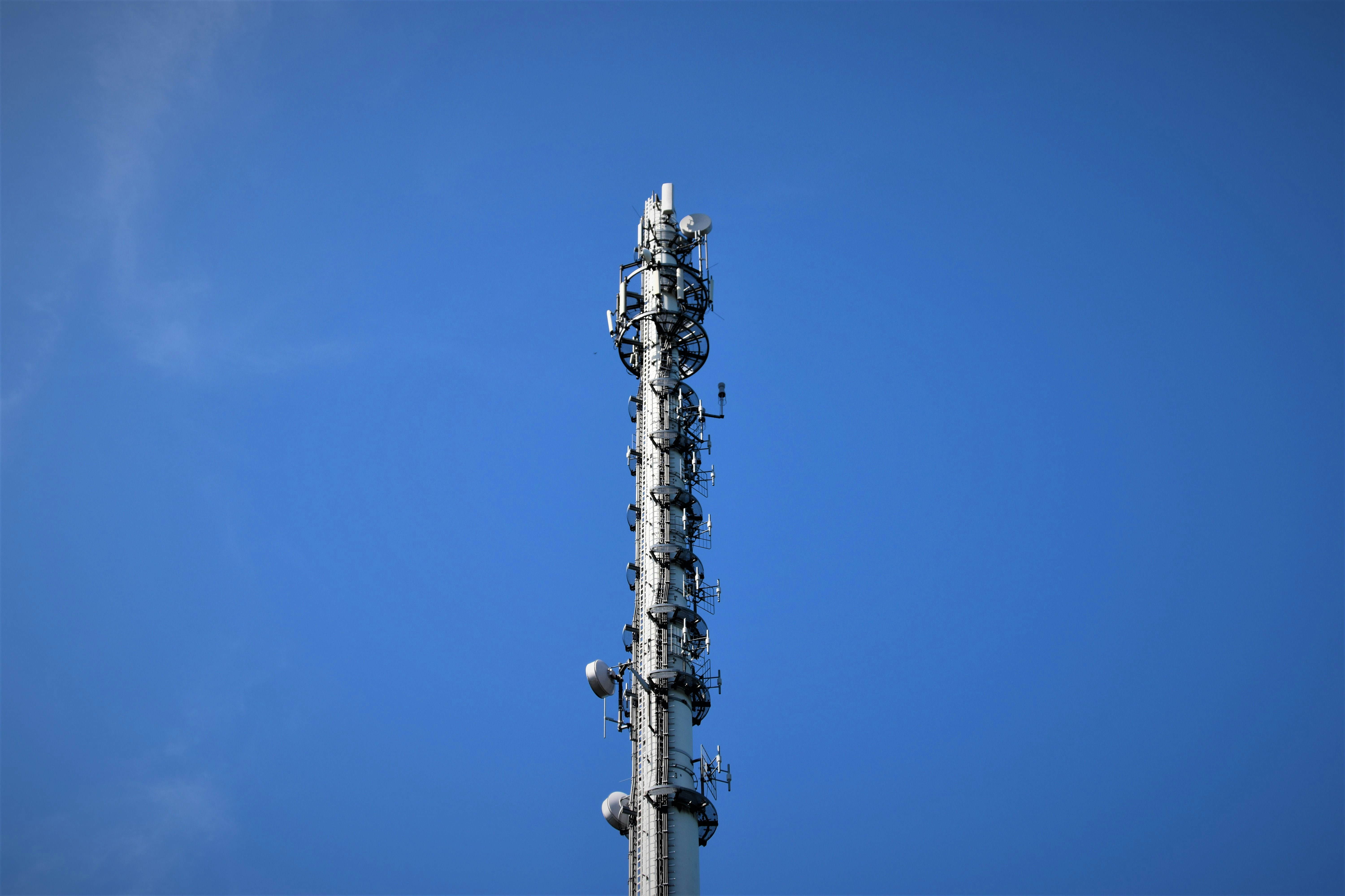 Photo by waldemarbrandt67w