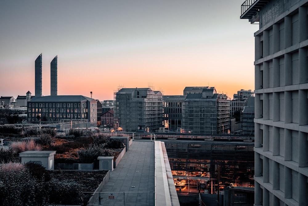 city skyline during sunset with city buildings