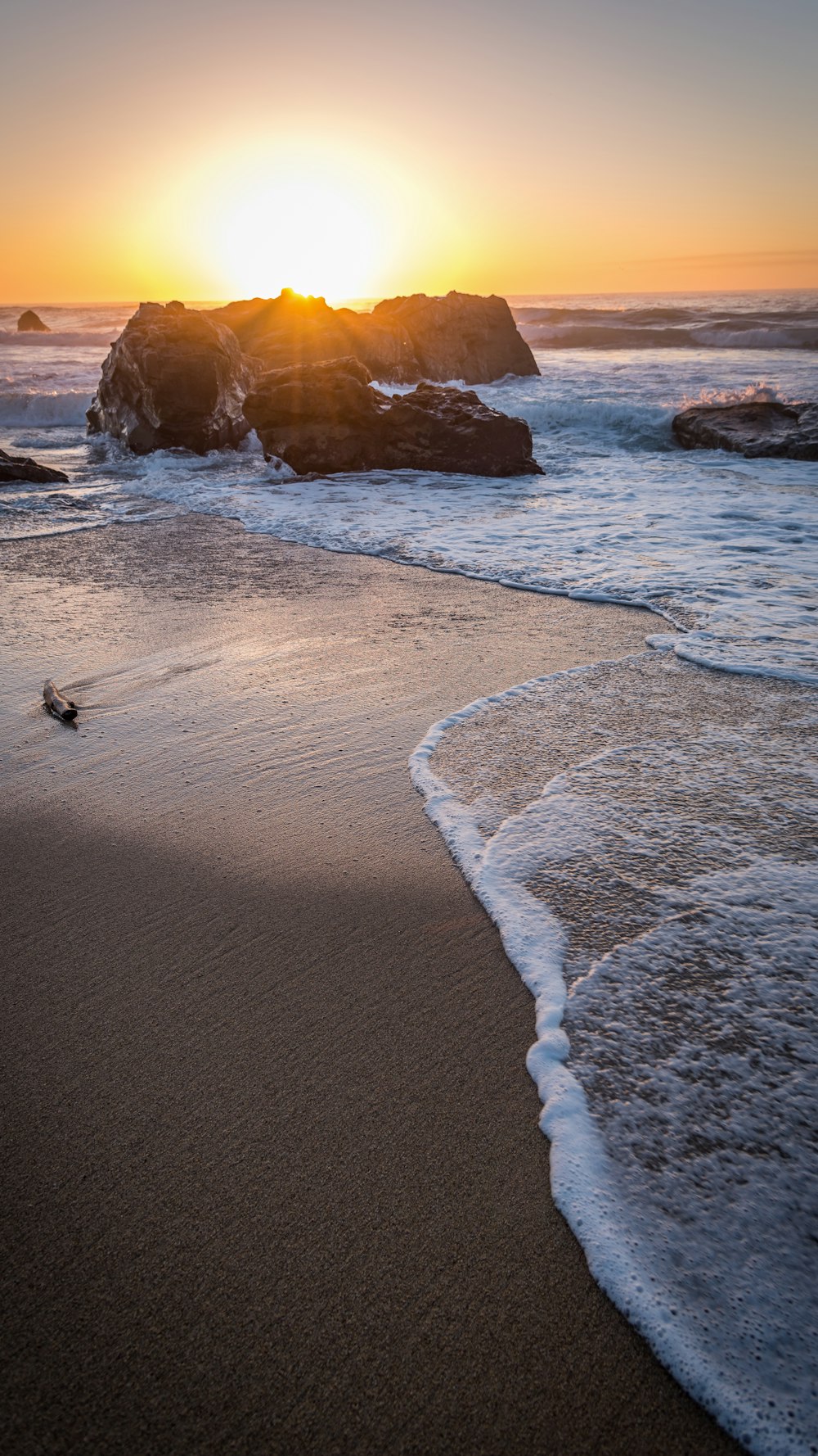 person in black shirt walking on beach during daytime