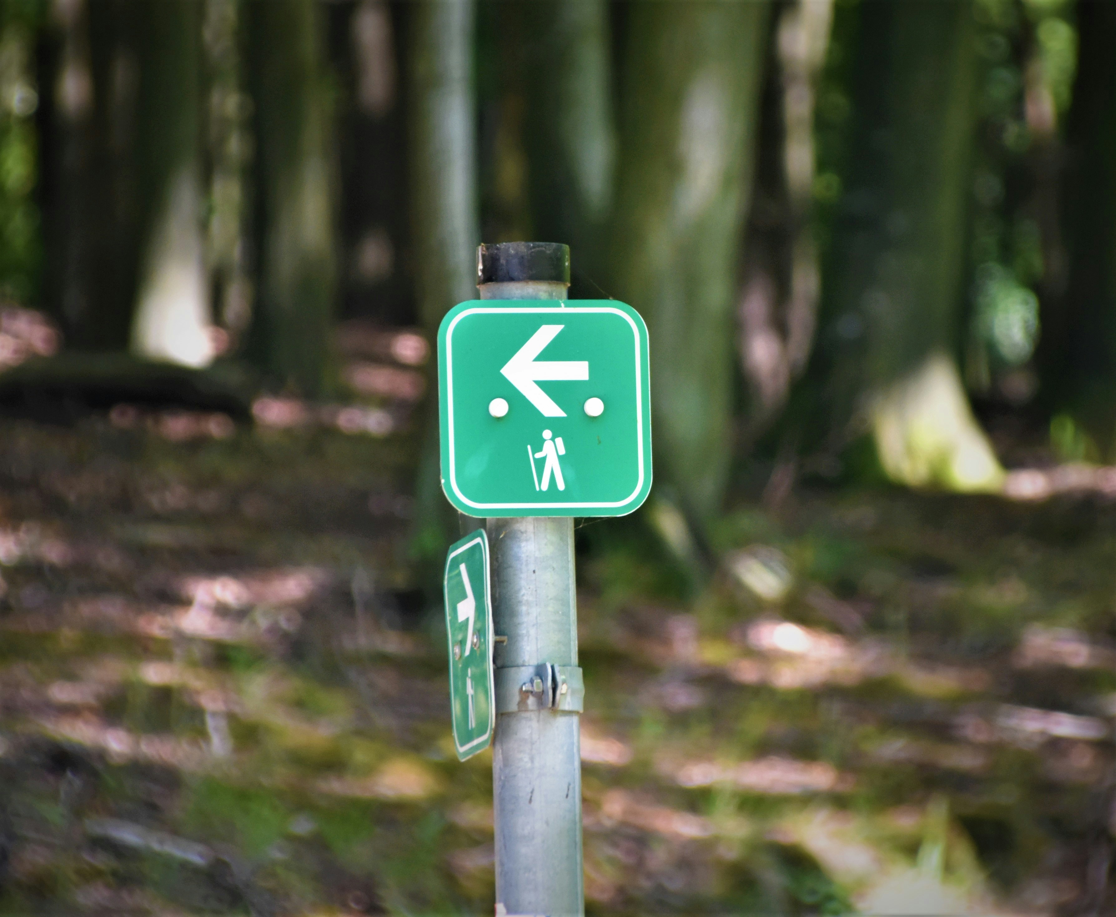 Photo by waldemarbrandt67w