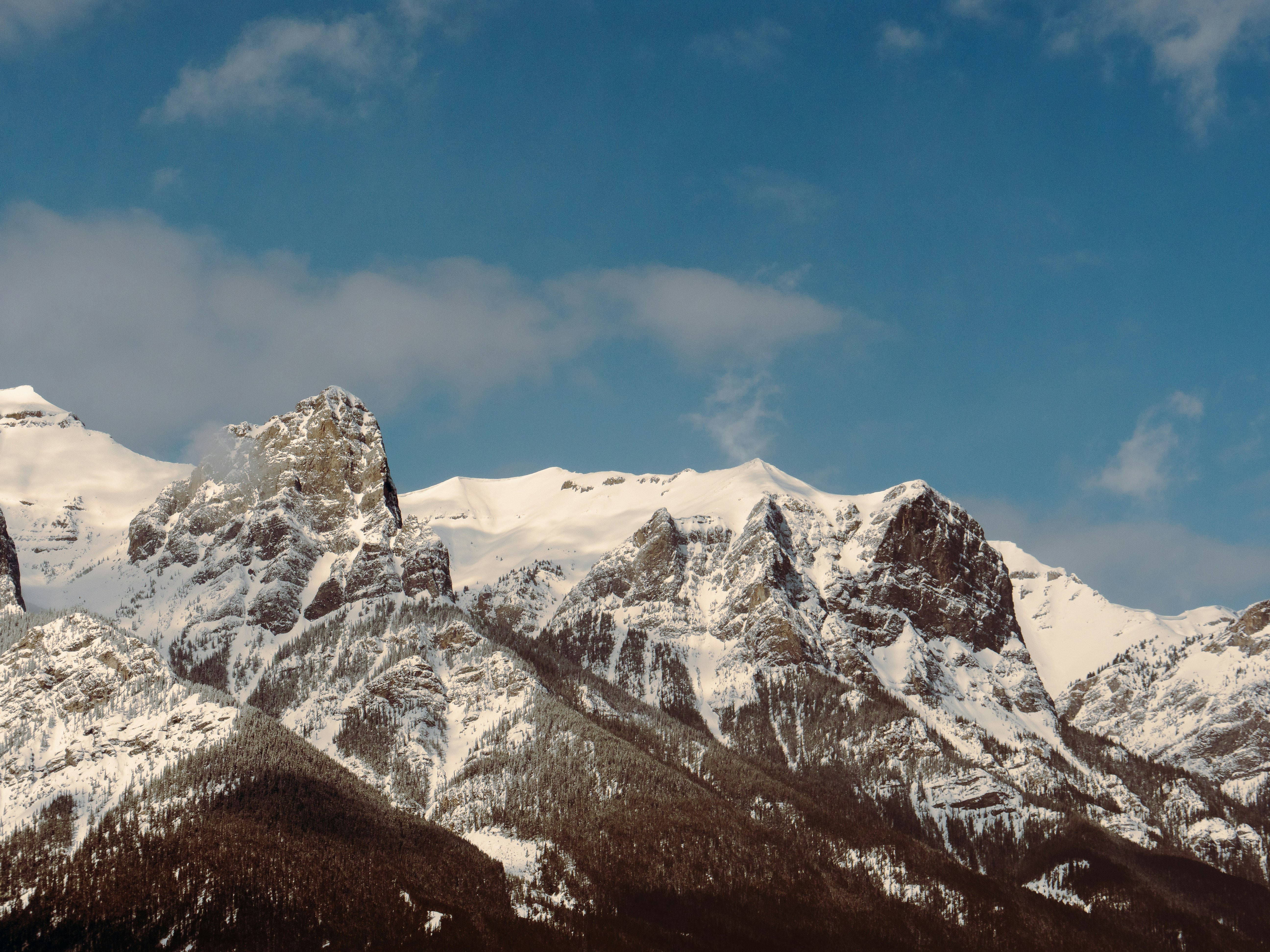 Photo by thelifeofdev