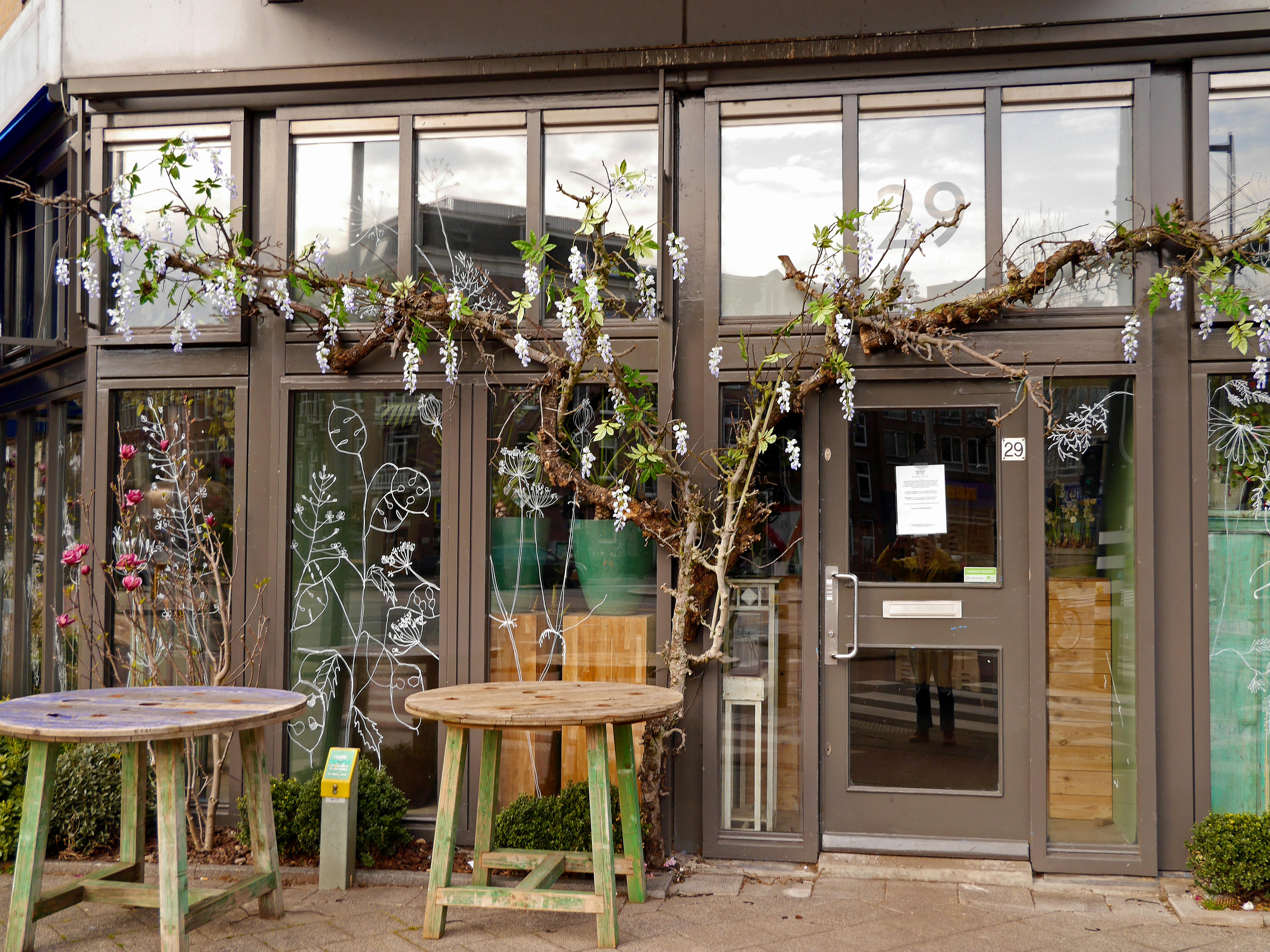 green potted plant on brown wooden table