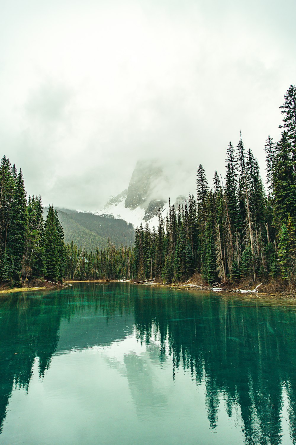 Grüne Bäume am See unter weißen Wolken tagsüber