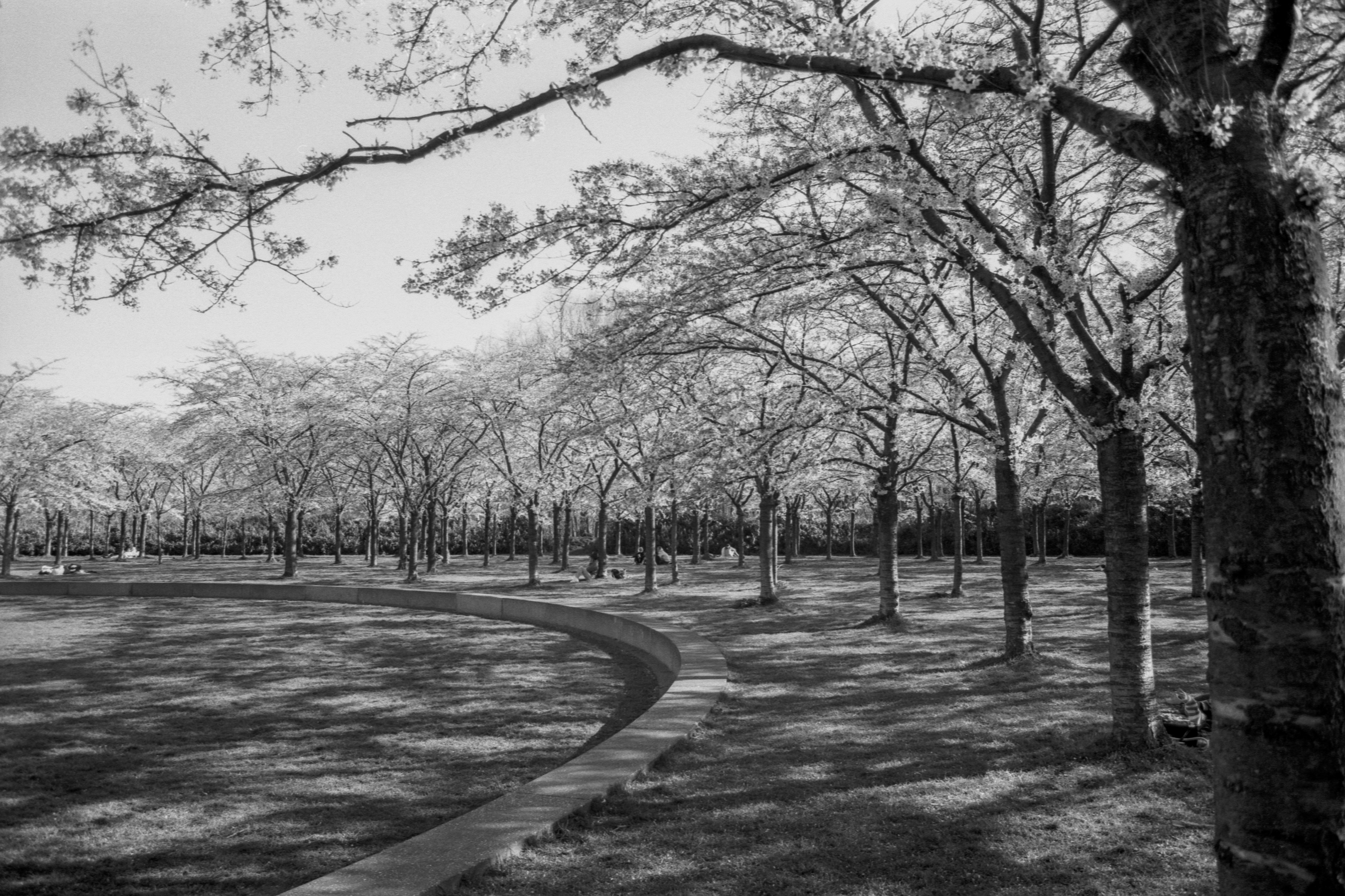 Photo by jeancarloemer