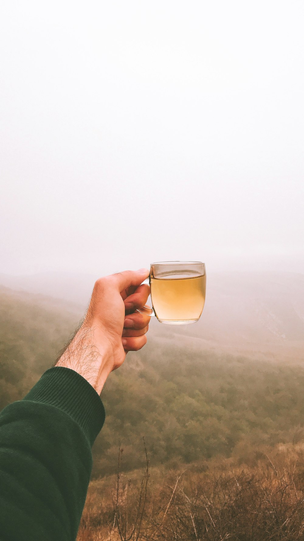 person holding clear drinking glass with yellow liquid