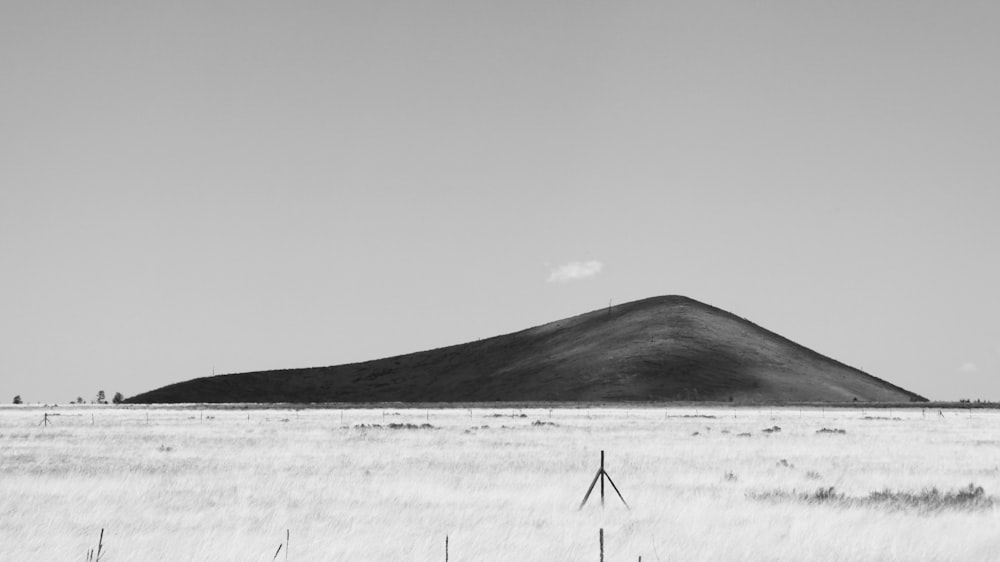 grayscale photo of a field