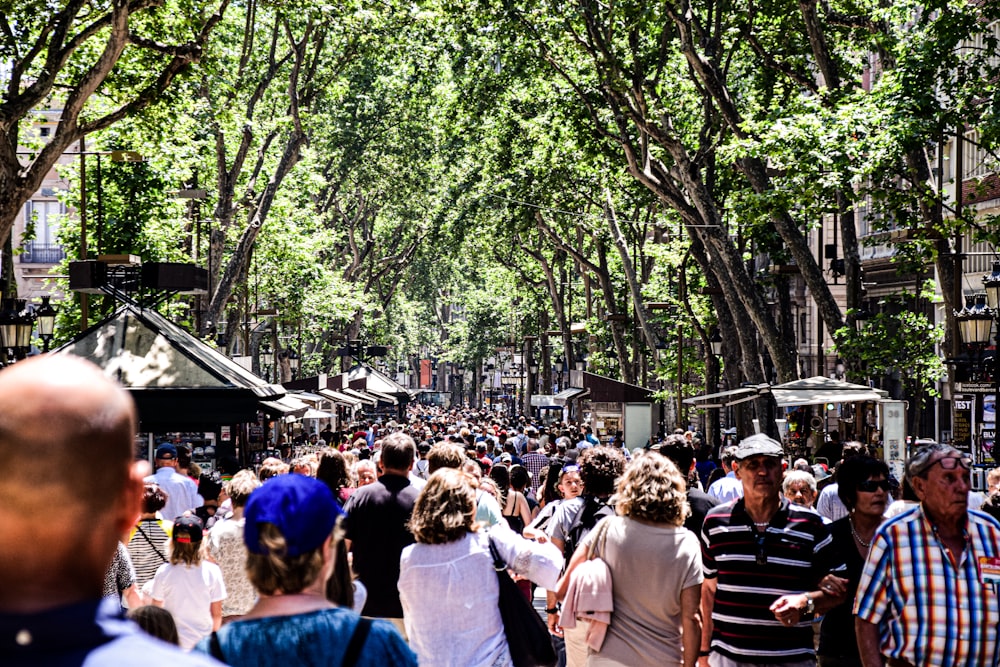 people sitting on bench under green trees during daytime