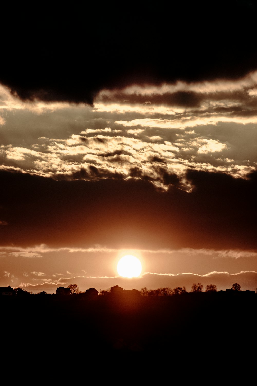 silhouette of trees during sunset