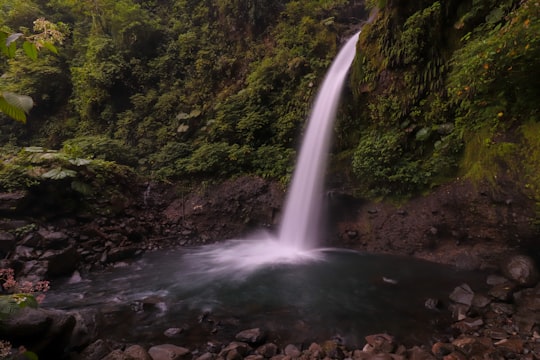 water falls in the middle of the forest in Alajuela Costa Rica