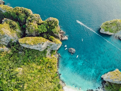 aerial view of green and brown island during daytime