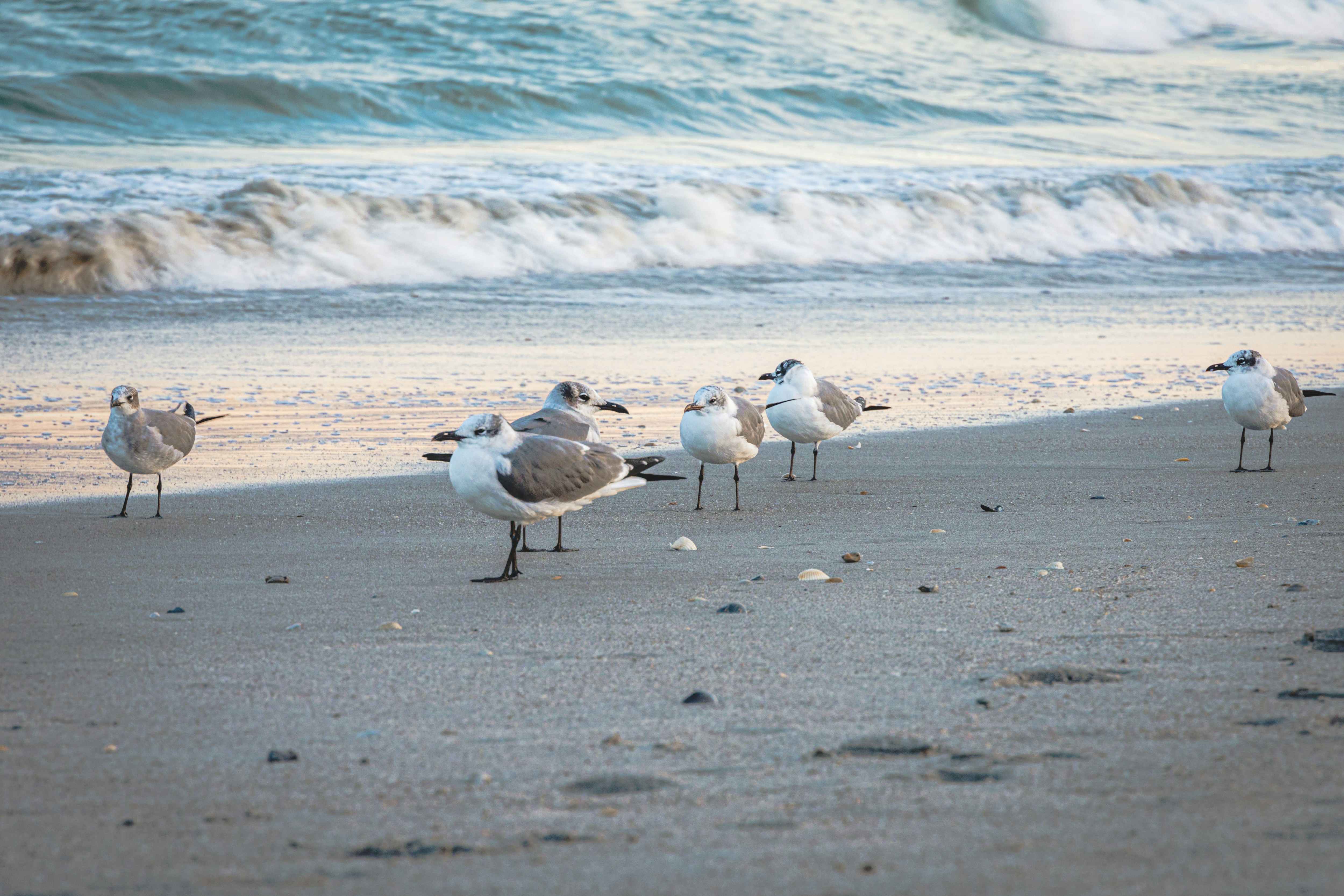 Photo by jphotomedia