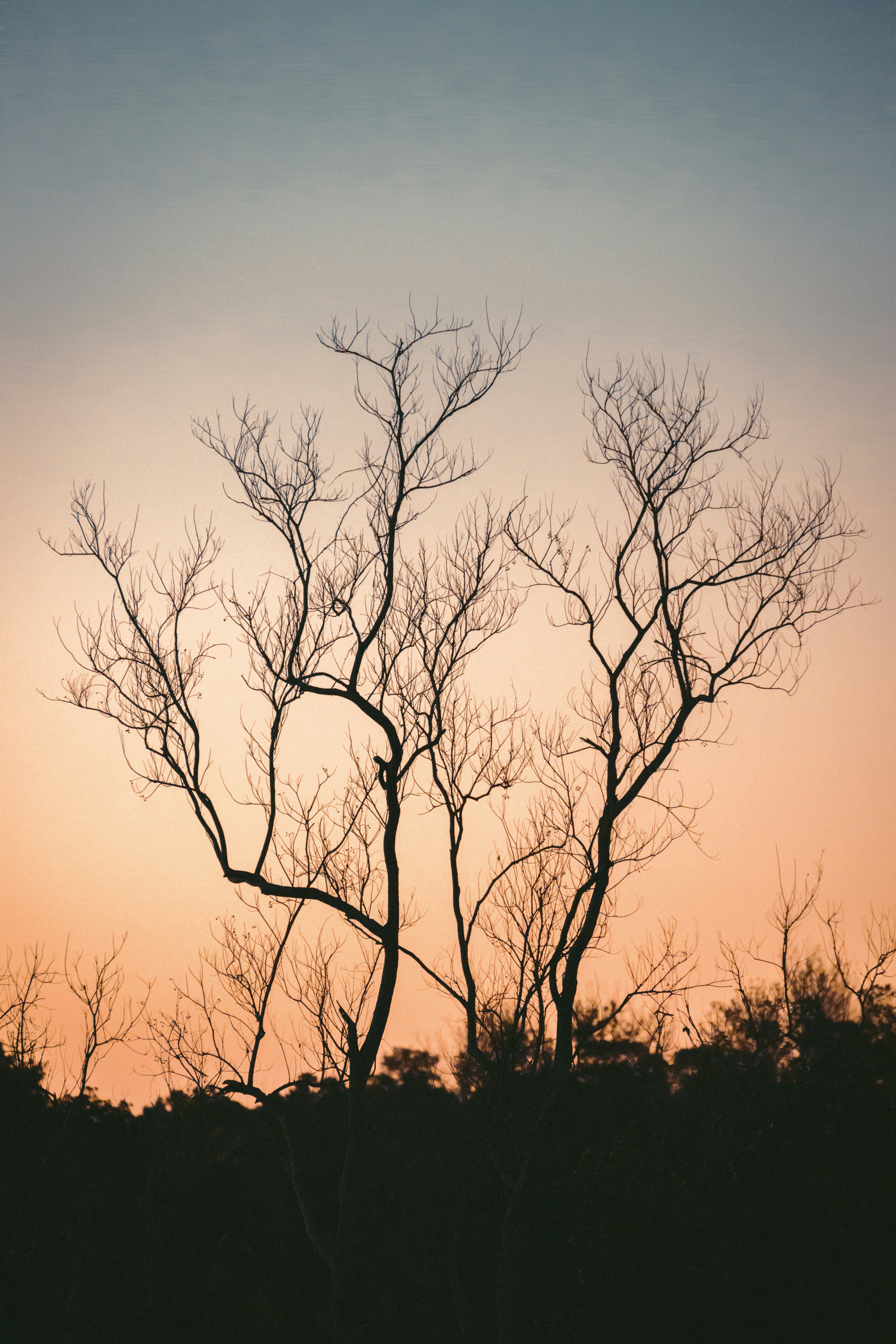 Photo by jphotomedia