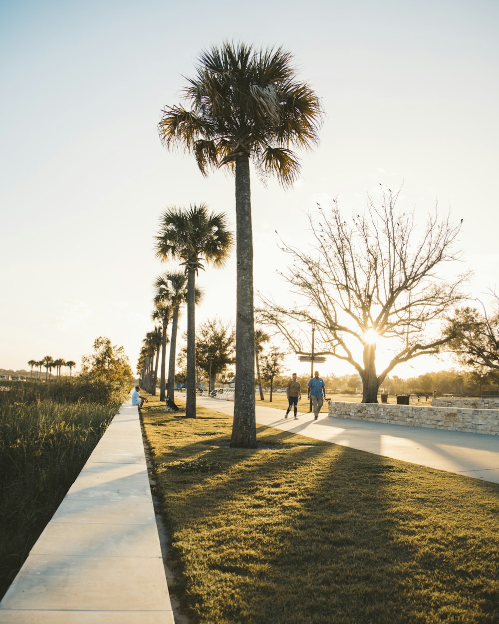 people walking on park during daytime