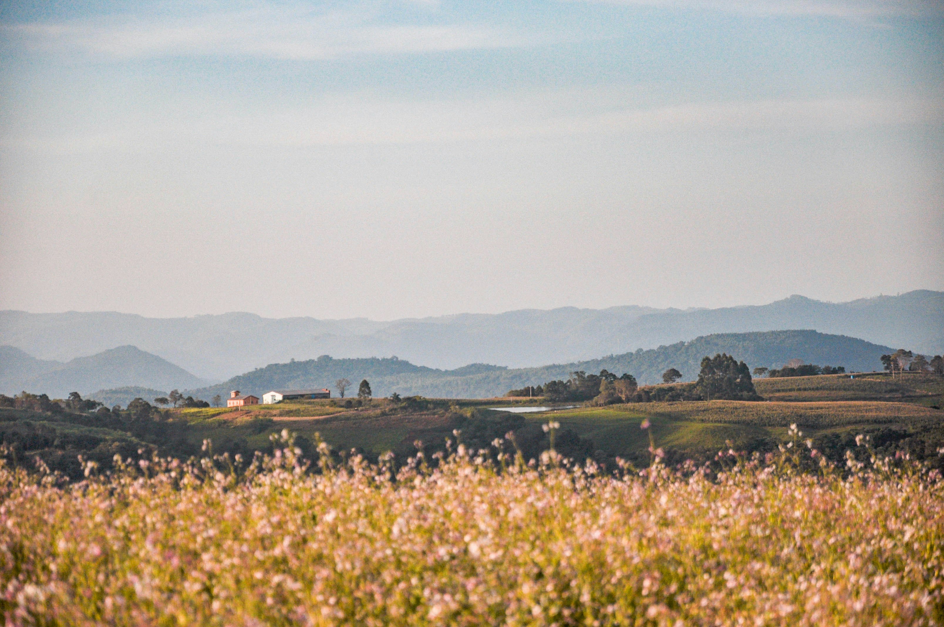 Photo by lucasgwendt