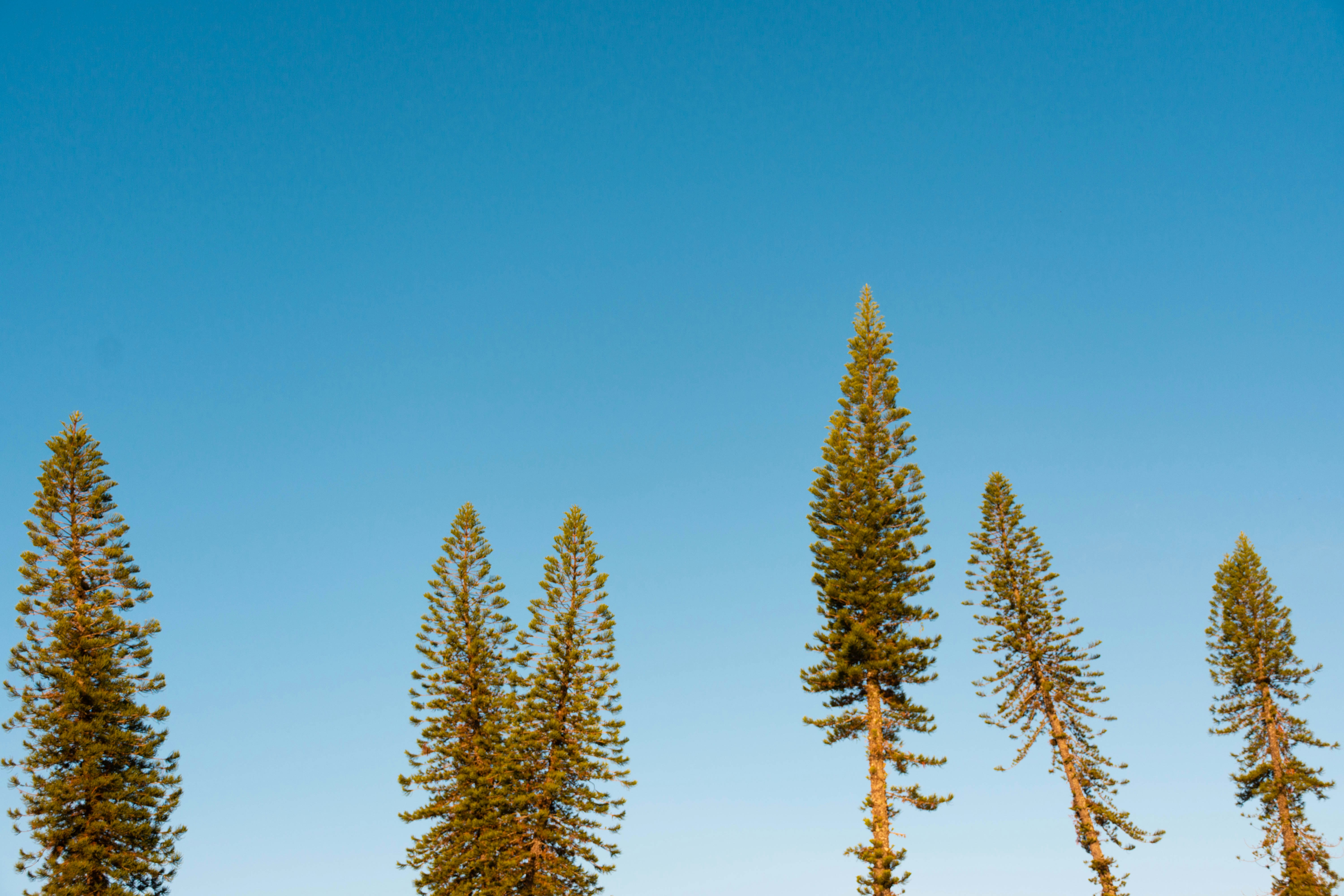 Photo by lucasgwendt