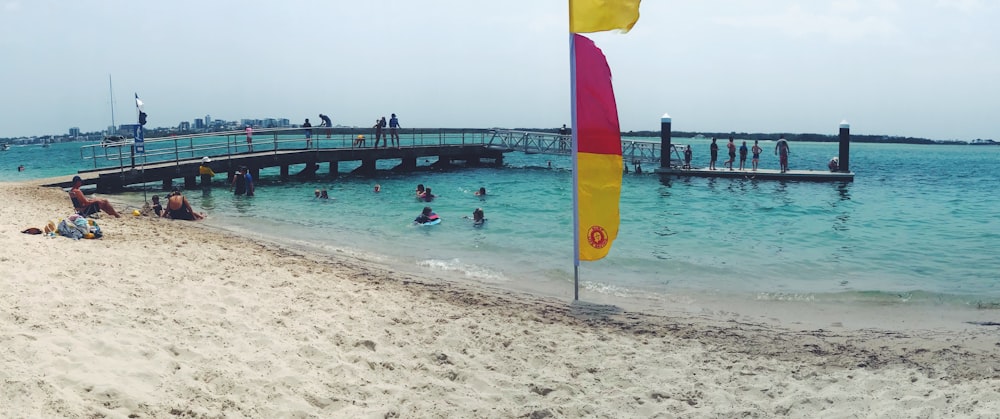 people swimming on beach during daytime