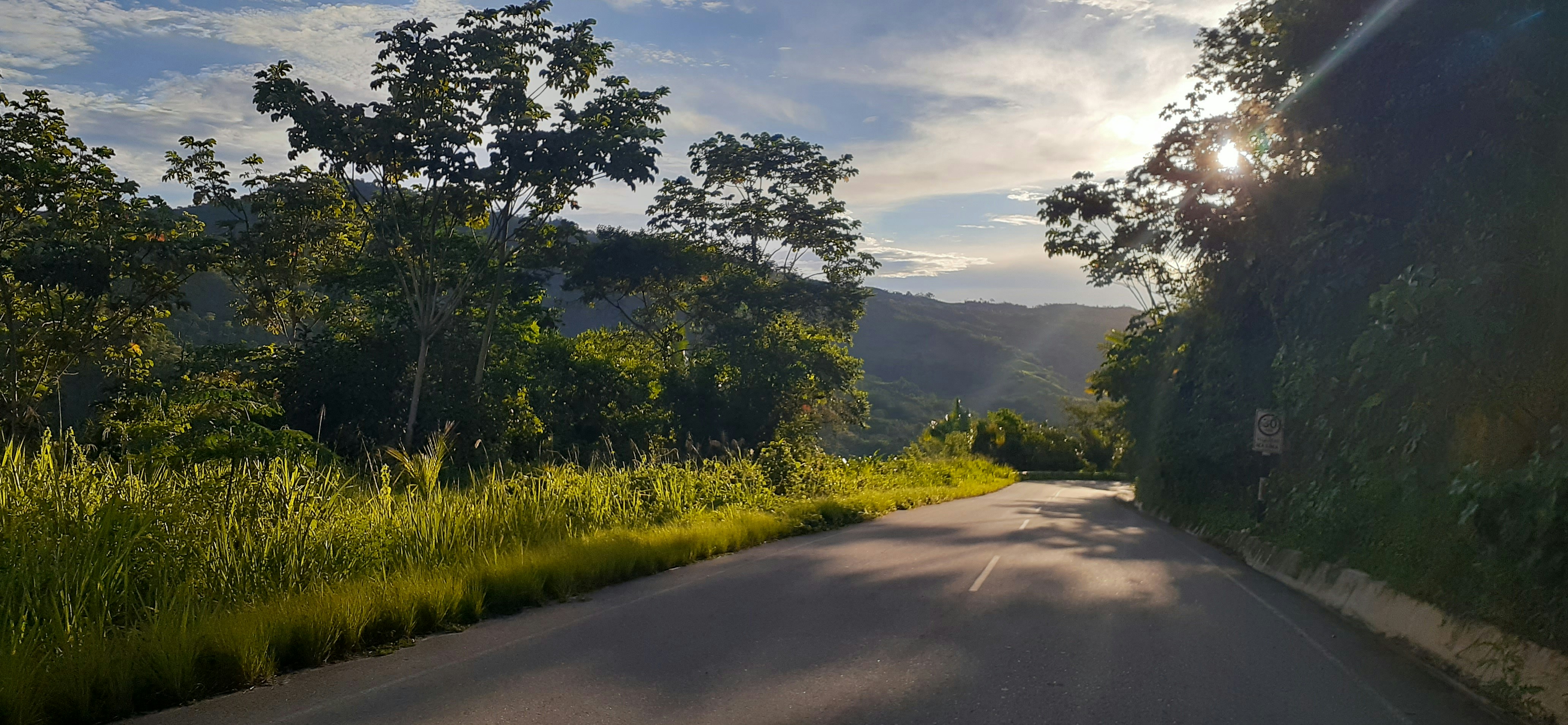 green grass field near road during daytime