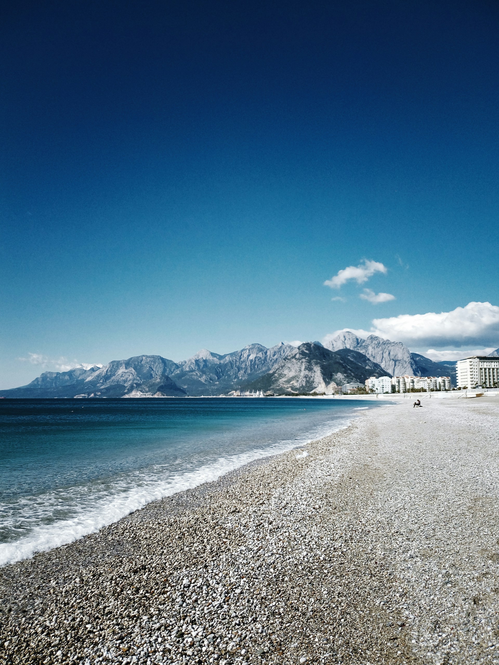 people on beach during daytime
