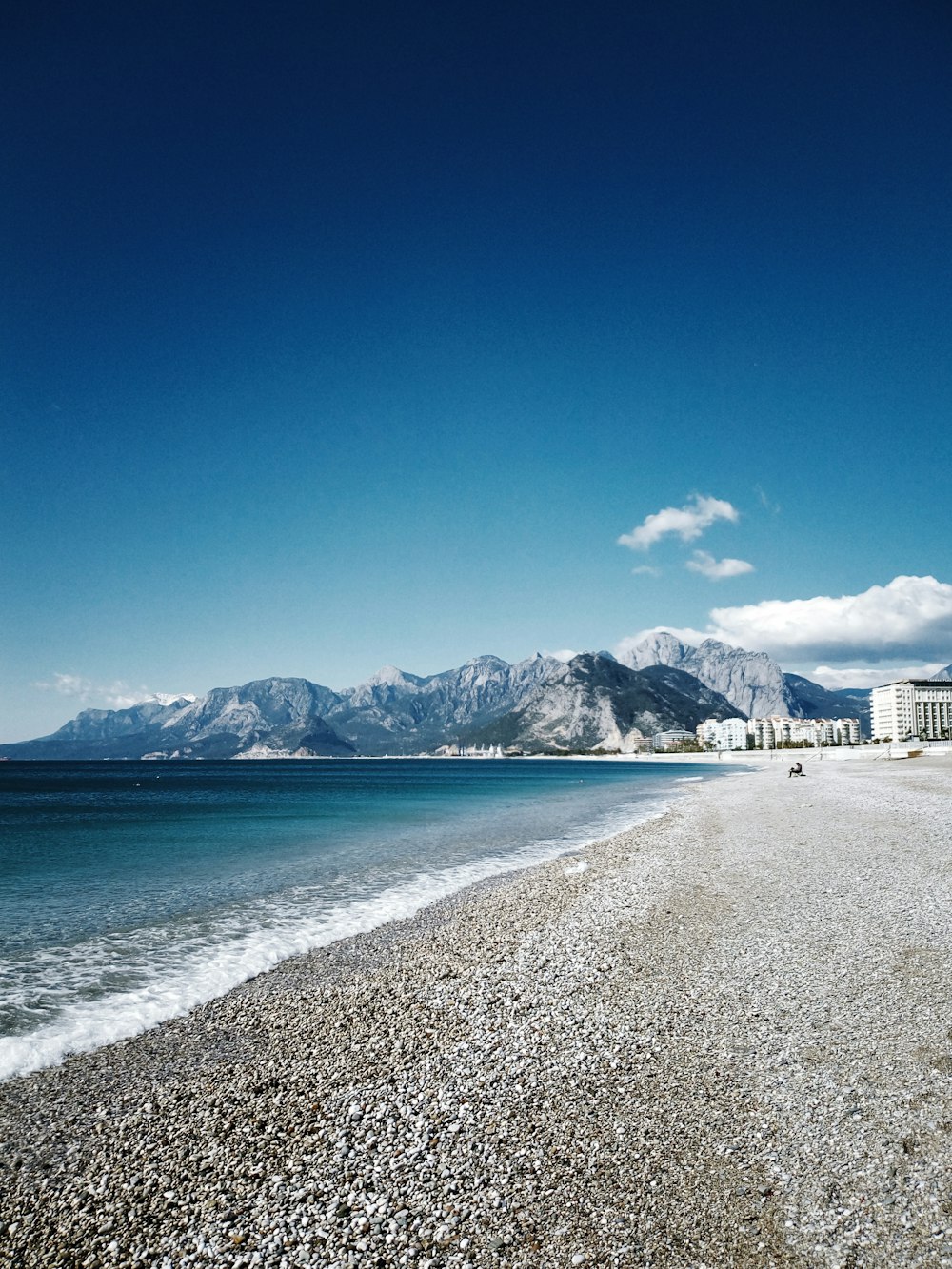 people on beach during daytime