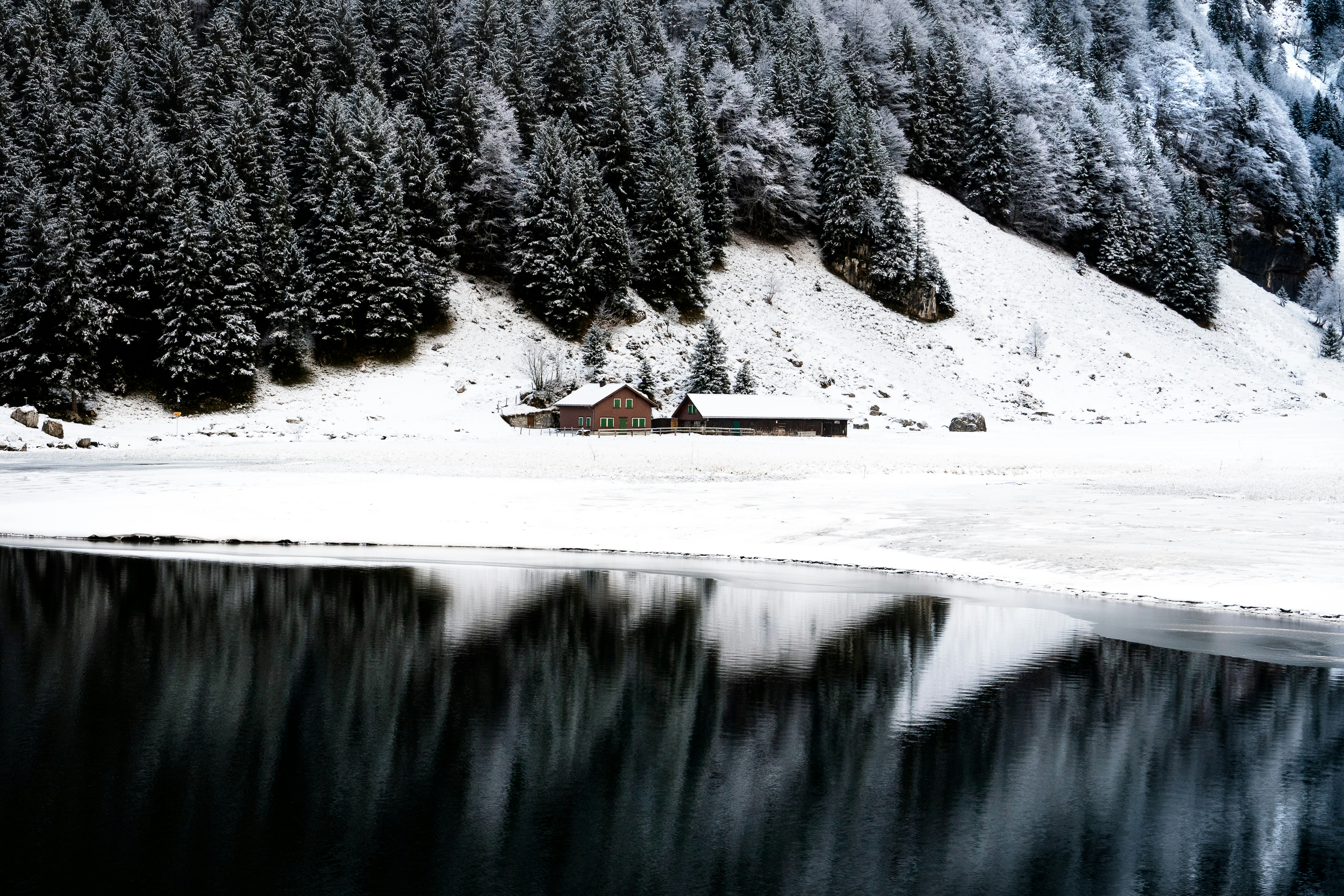 Photo by tylerscheviak