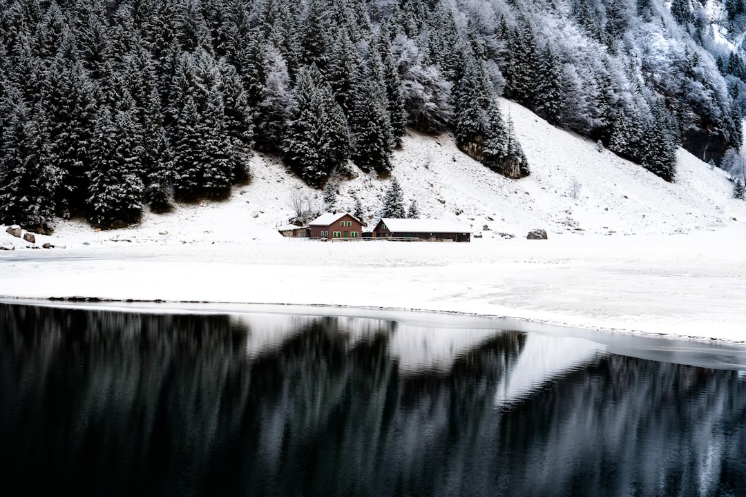 Lake photo spot Seealpsee Zug