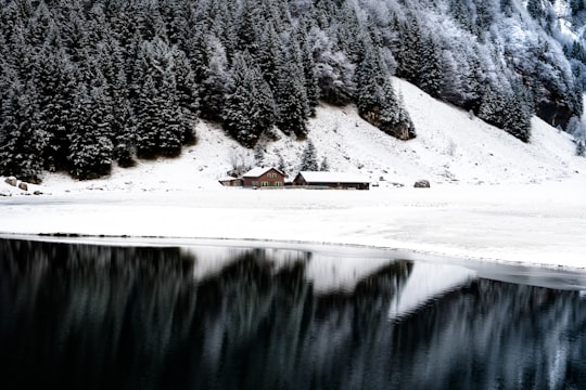 brown and white house near lake during daytime in Seealpsee Switzerland
