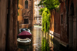 Venice