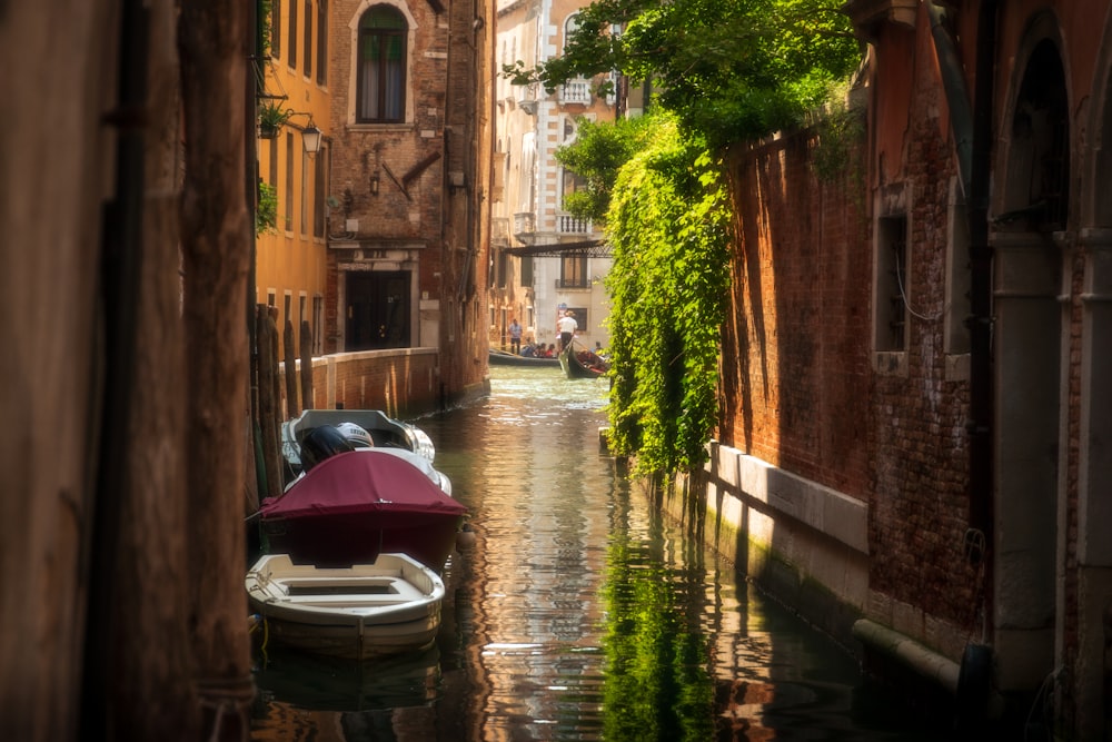 purple boat on river between brown concrete buildings during daytime