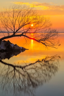 positiv'in coaching de vie psychologie positive objectif changement bonheur résilience