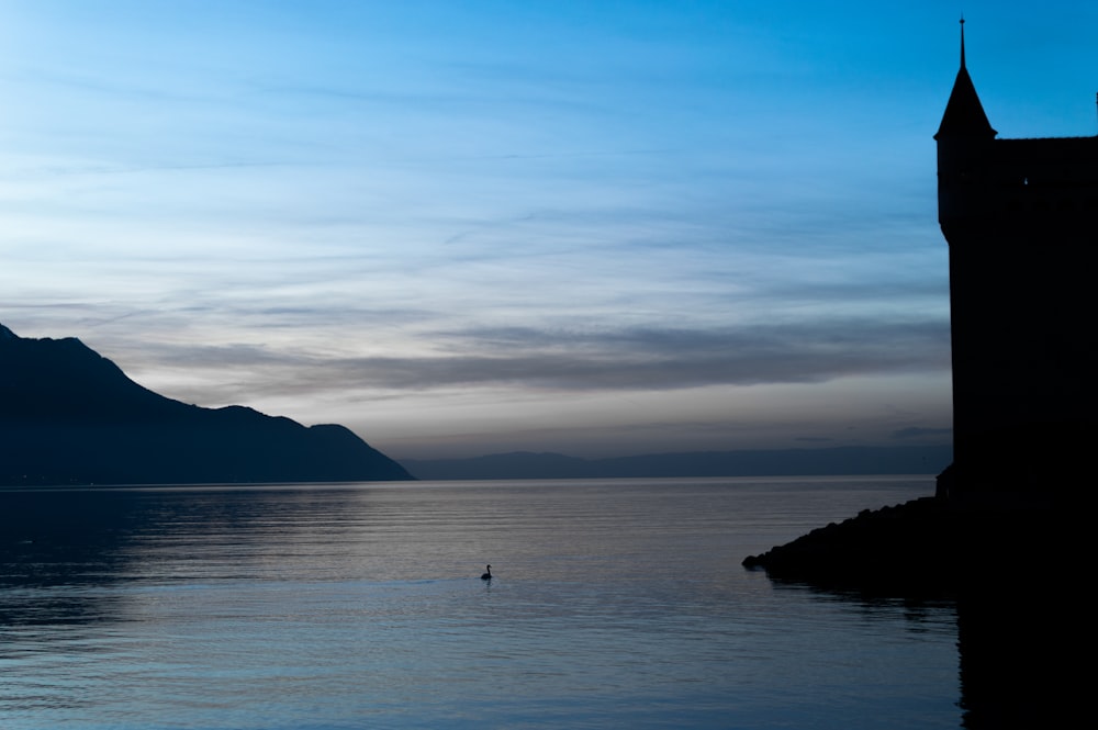 silhouette of person standing on sea shore during sunset