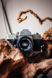 A vintage Praktica MTL 3 camera is placed amidst pieces of rugged, textured driftwood, with a soft-focus background. The camera's metallic features contrast with the organic, earthy tones of the wood.