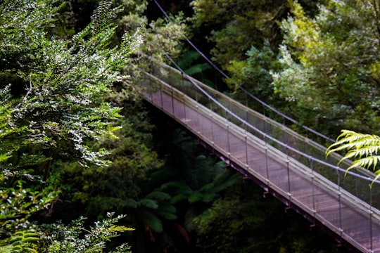 white bridge in the middle of green trees in Tarra-Bulga National Park Australia