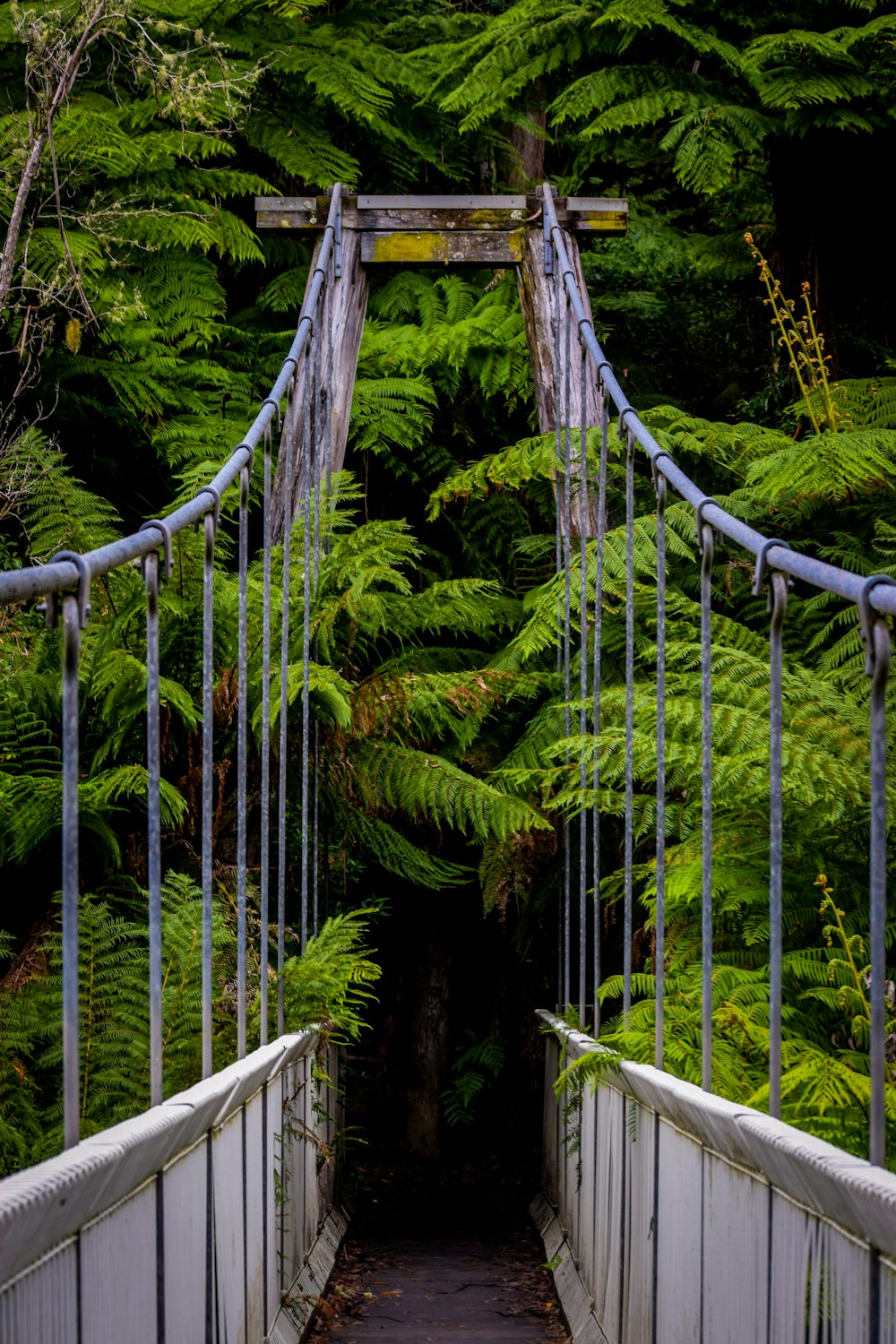 green and brown wooden bridge