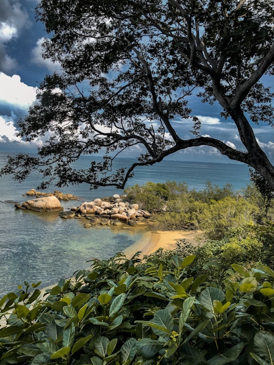 green trees near body of water under blue sky during daytime in Bintan Indonesia