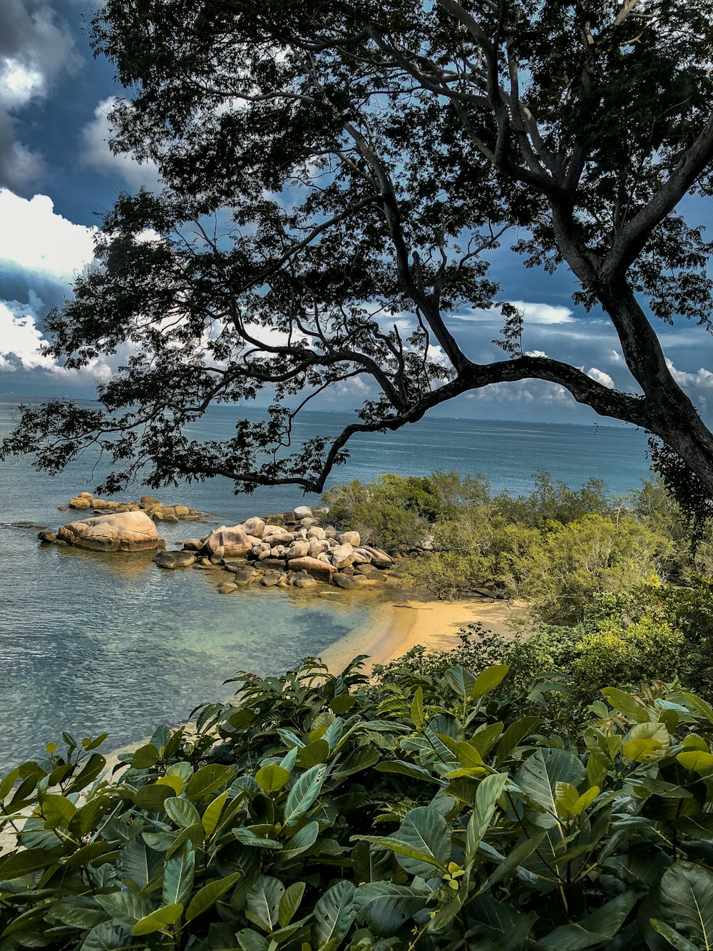 green trees near body of water under blue sky during daytime