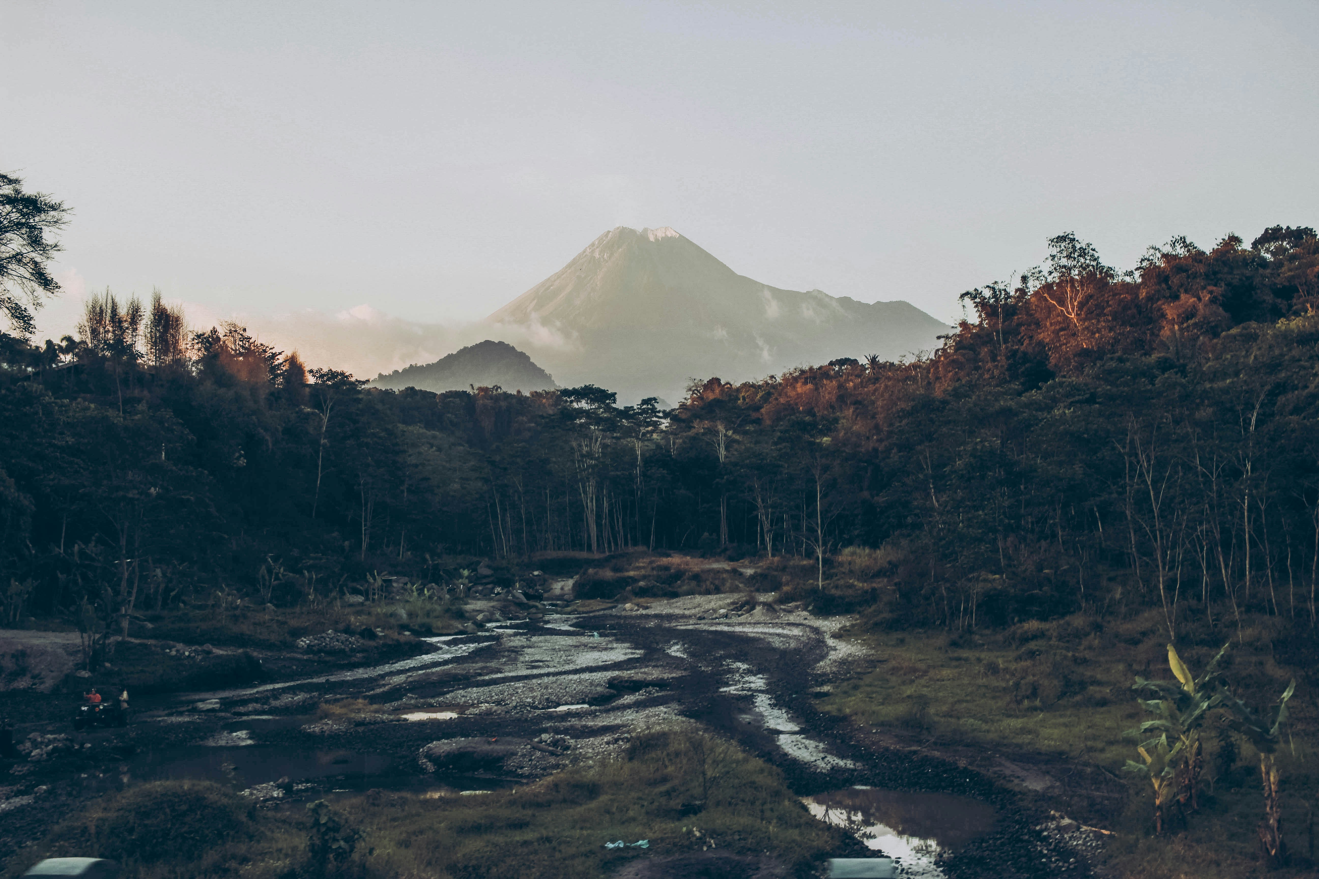 brown trees near snow covered mountain during daytime