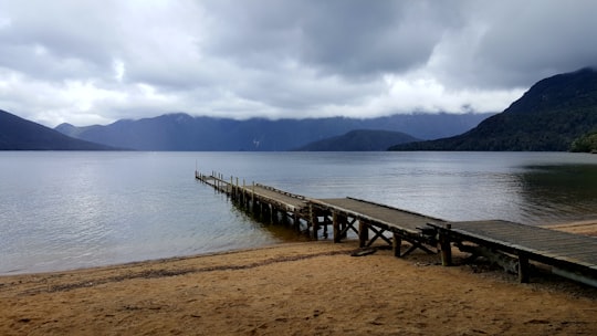 brown wooden dock on sea during daytime in Fiordland National Park New Zealand
