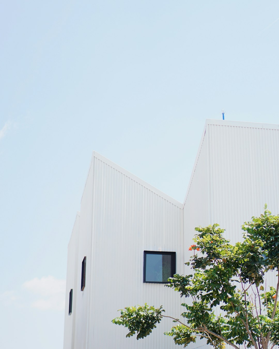 white concrete building with green trees