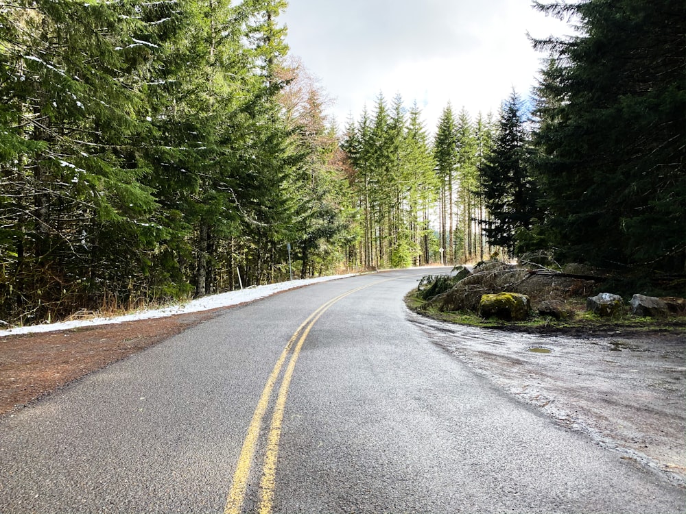 gray concrete road between green trees under blue sky during daytime