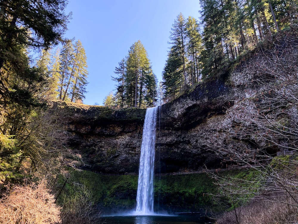 a large waterfall in the middle of a forest