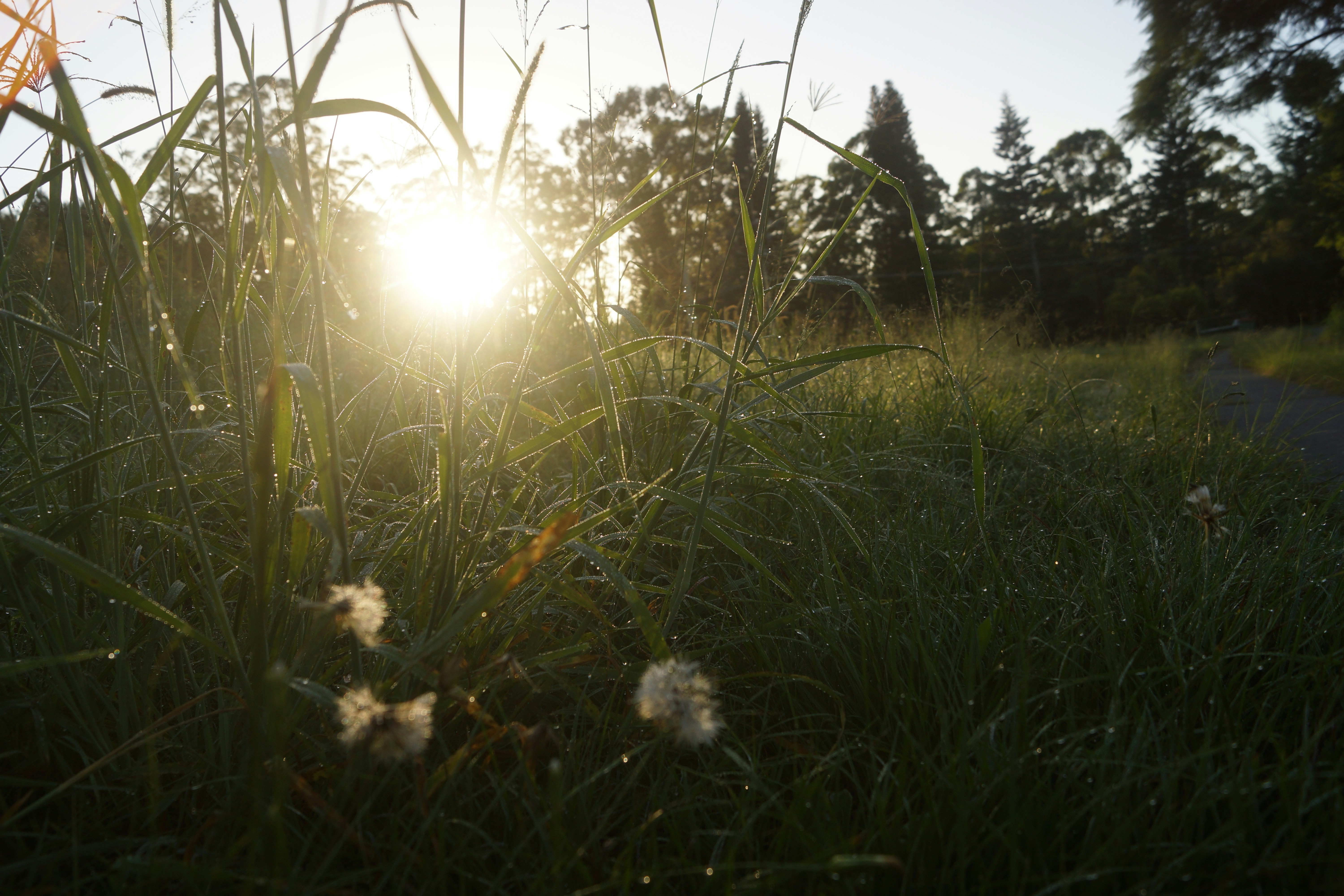 Photo by featherphotos33