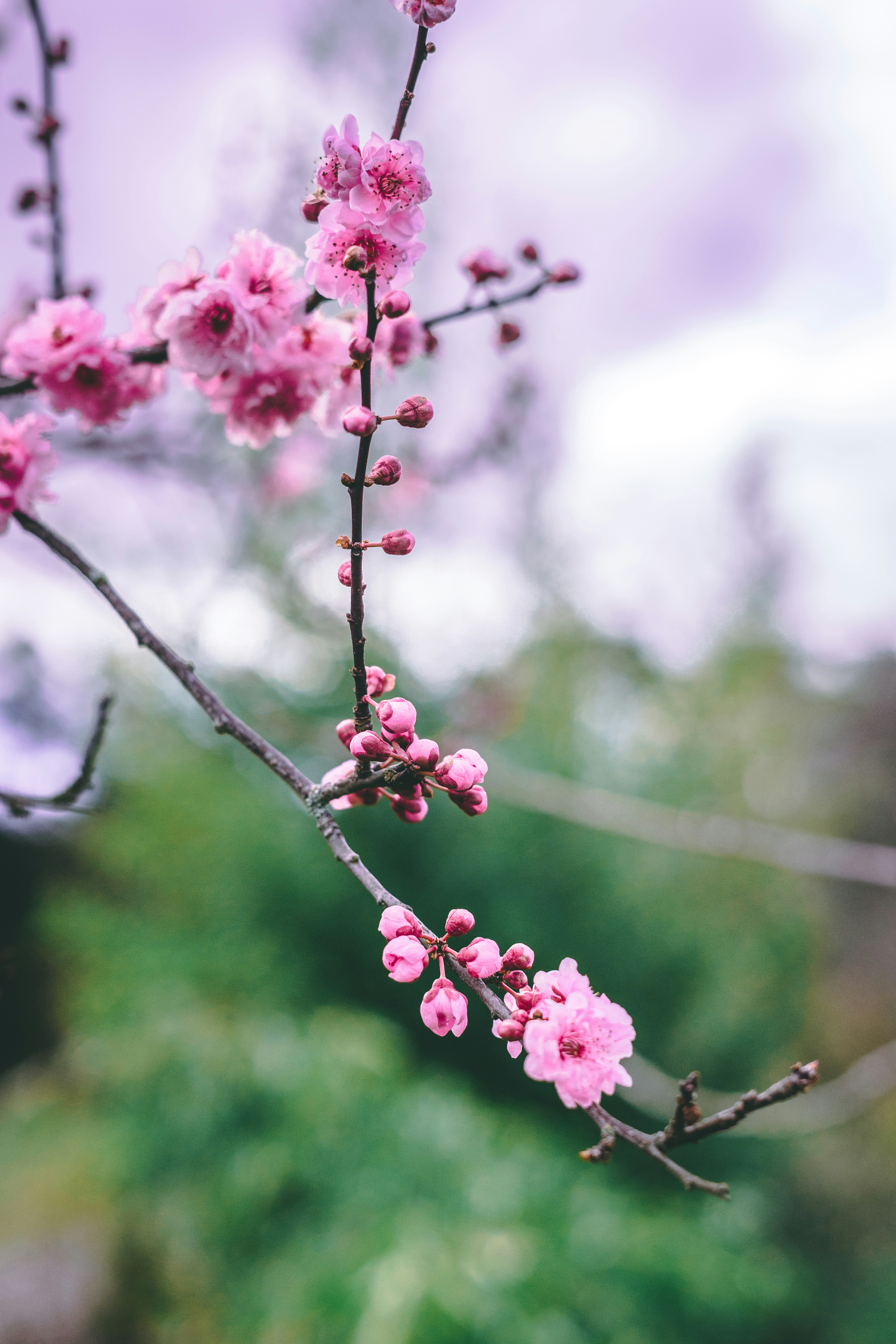 Photo by virussinside